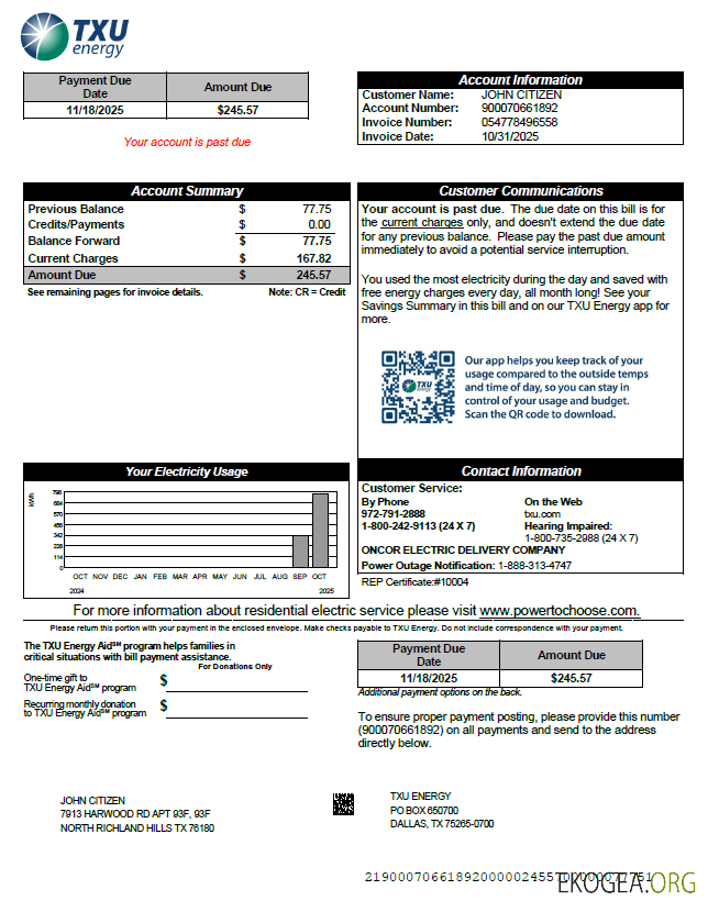 USA TXU Energy utility bill template in Word and PDF formats, version 8